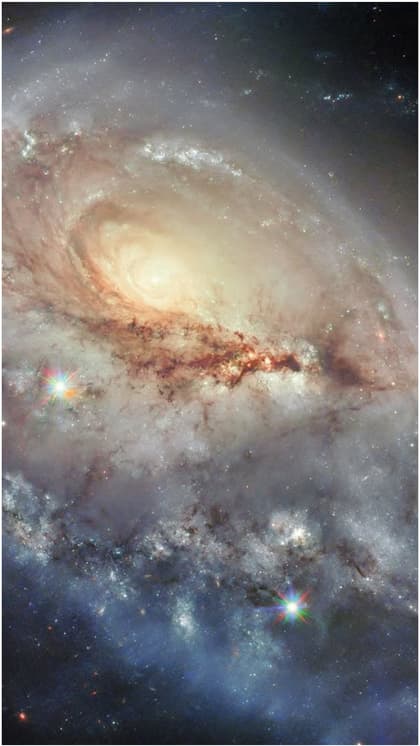 Stellar Powerhouse