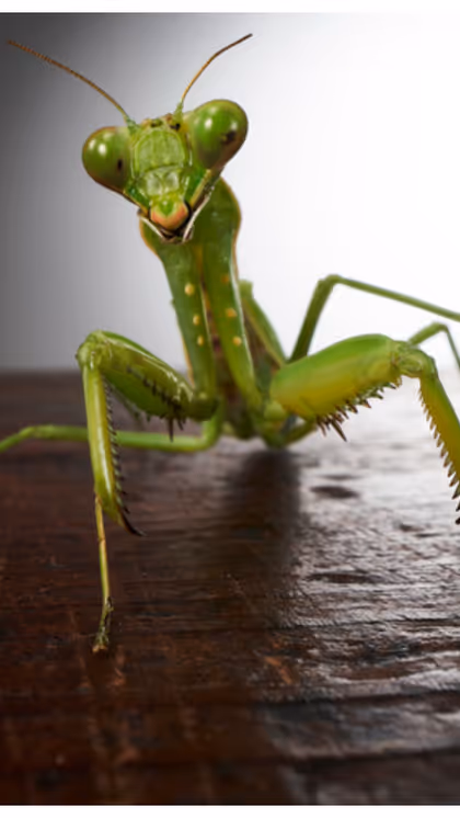 నీరు నిల్వ ఉండటం  
