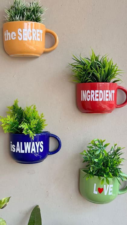 Ceramic Cup Planter: महंगे सिरेमिक पाट खरीदना, चाय के पुराने कप में उगाएं  मिनी प्लांट्स | Ceramic Cup Planter Diy Old Tea Cup Mini Plant Pot Ideas  For Home Decor | Asianet