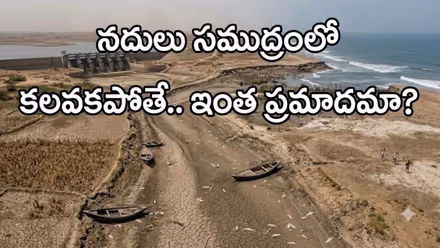 నదులు సముద్రంలో కలవకపోతే ఏమవుతుంది.? విపత్తు తప్పదని తెలుసా.?