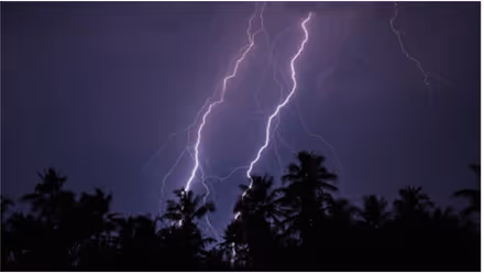 മഴ കനക്കുന്നു, ഇന്ന് 10 ജില്ലകളിൽ യെല്ലോ അലർട്ട് പ്രഖ്യാപിച്ചു; 4 ദിവസം സംസ്ഥാനത്ത് വിവിധ ജില്ലകളിൽ മഴ ജാഗ്രത