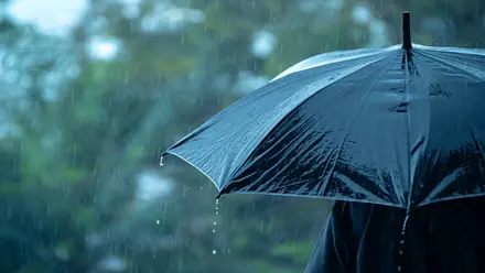 ಕತೆ : ''ಮತ್ತೆ ಮಳೆ ಹೊಯ್ಯುತಿದೆ , ಎಲ್ಲಾ ನೆನಪಾಗುತ್ತಿದೆ''