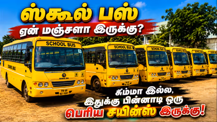 School Bus: ஸ்கூல் பஸ் ஏன் மஞ்சளா இருக்கு? சும்மா இல்ல, இதுக்கு பின்னாடி ஒரு பெரிய சயின்ஸ் இருக்கு!