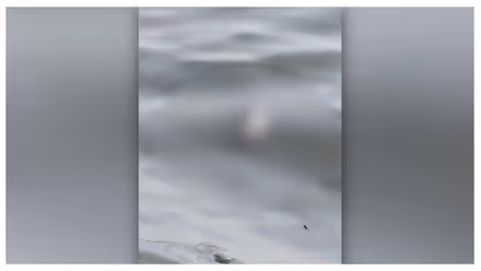 കൊച്ചി കായലിൽ നവജാത ശിശുവിന്റെ മൃതദേഹം; 2 ദിവസത്തെ പഴക്കമുണ്ടെന്ന് പൊലീസ്, പോസ്റ്റ്മോർട്ടം നാളെ