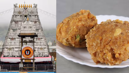 TTD కీల‌క నిర్ణ‌యం.. తిరుమ‌ల‌లో ఇ-టంగ్, ఇ-నోస్ టెక్నాల‌జీ. వీటి ఉప‌యోగం ఏంటంటే.?