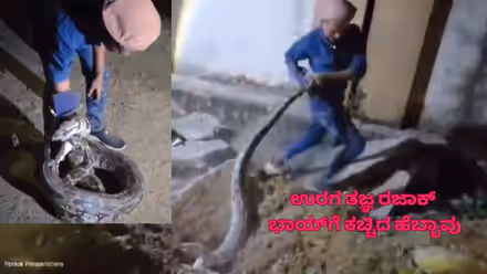Snake Expert Bitten By 15-Foot Python During Rescue In Dandeli, He Calmly Handles It