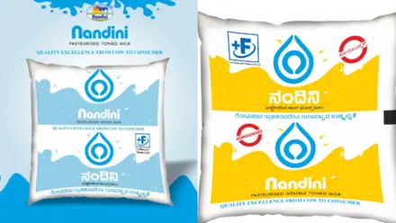 Nandini Milk Price Hike: Karnataka Unions Seek ₹10 Per Litre, Cabinet To Decide