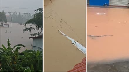 India Latest News Live: China Flood - ಚೀನಾದಲ್ಲಿ ಜಲಪ್ರಳಯ, ಫಾರ್ಮ್‌ನಿಂದ ತಪ್ಪಿಸಿಕೊಂಡ 900 ಹಾವುಗಳು! ವಿಡಿಯೋ ವೈರಲ್