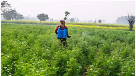 Cancer Risk: कीटनाशकों से कैंसर का खतरा 150% तक ज़्यादा? नई स्टडी में चौंकाने वाला खुलासा