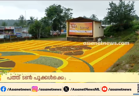 ഭീമൻ പൂക്കളം തീർത്ത് വയനാട്ടുകാർ; ഇരുളം ​ഗവ. ഹൈസ്കൂളിൽ പൂക്കളമൊരുക്കിയത് 10 ടൺ പൂക്കളുപയോ​ഗിച്ച്