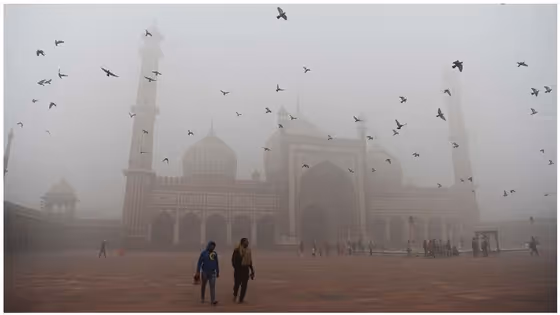 Delhi Weather LATEST Update: Delhi-NCR Cold Wave Alert; Fog, Weak Sunlight, Sub-Zero Wind Chill Predicted