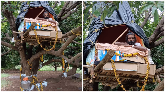 ಮರದ ಮೇಲೆ ಗೂಡು ಕಟ್ಟಿ ಧ್ಯಾನ, ಕೊಪ್ಪಳ ಸ್ವಾಮೀಜಿಯ 101 ದಿನಗಳ ಕಠಿಣ ವ್ರತ!