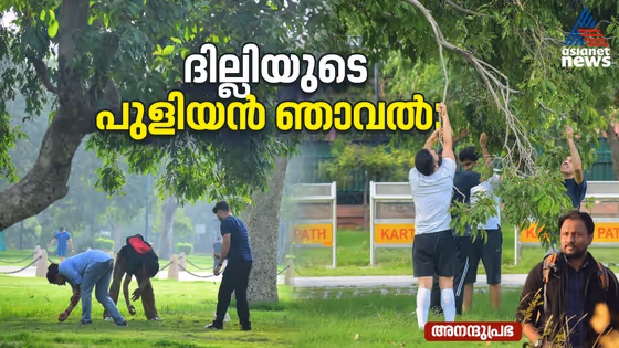 ഓർമ്മകളിൽ മധുരം നിറച്ച് ദില്ലിയിലെ ഞാവൽ വസന്തം