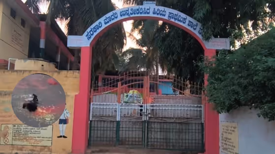 ಸರ್ಕಾರಿ ಶಾಲೆಯ ಎದುರು ಬಾವಲಿ ಕೊಂದು ಮೊಟ್ಟೆ, ನಿಂಬೆಹಣ್ಣು ಇರಿಸಿ ವಾಮಾಚಾರದ ಪೂಜೆ