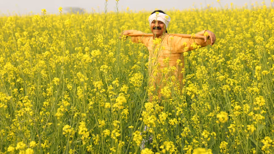 PM Fasal Bima Yojana 2025-26: रबी सीजन फसल बीमा शुरू, घर बैठे ऐसे करें रजिस्ट्रेशन