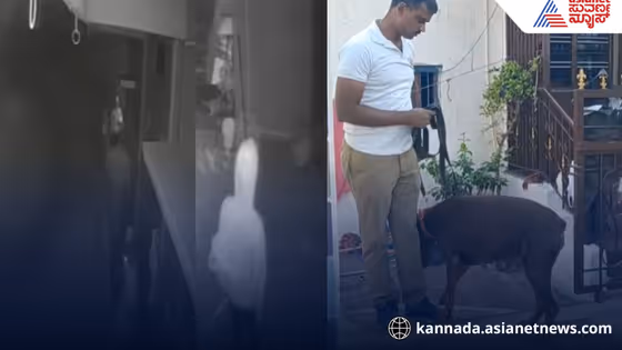 ಹುನುಗುಂದದಲ್ಲಿ ಮಂಕಿ ಕ್ಯಾಪ್ ಗ್ಯಾಂಗ್: ಒಂದೇ ರಾತ್ರಿ, 9 ಮನೆ ಕಳವು, ಪೋಲಿಸರ ಮನೆಗಳನ್ನೇ ಬಿಡದ ಖದೀಮರು!