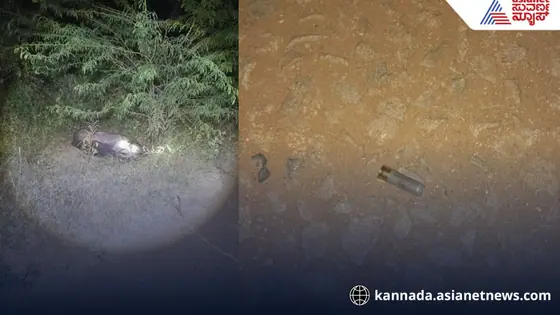 ಚಾಮರಾಜನಗರದಲ್ಲಿ ಬೇಟೆಗಾರರ ಬಂದೂಕಿನ ಸದ್ದು: ಚಿರತೆ, ನವಿಲು, ಕಾಡುಹಂದಿಗಳೇ ಟಾರ್ಗೆಟ್!