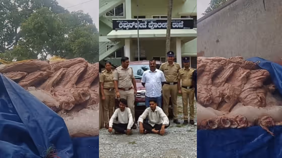 ಧಾರವಾಡ ಟು ಬೆಂಗಳೂರು: ಲಾರಿಯಲ್ಲಿ ಸಾಗಿಸುತ್ತಿದ್ದ 100ಕ್ಕೂ ಹೆಚ್ಚು ಗೋವುಗಳ ಮಾಂಸ ವಶ!