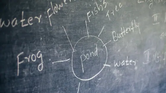 Kerala’s School Rationalisation: A Bold Move for Quality Education or a Burden on Teachers? | Opinion