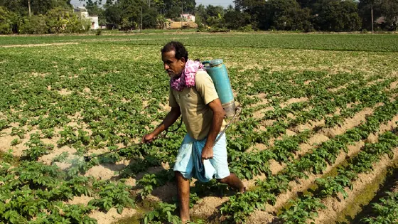 Schemes for Farmers: మీరు రైతా? అయితే ఈ పది పథకాలను వాడుకుంటే లక్షలు రావడం ఖాయం