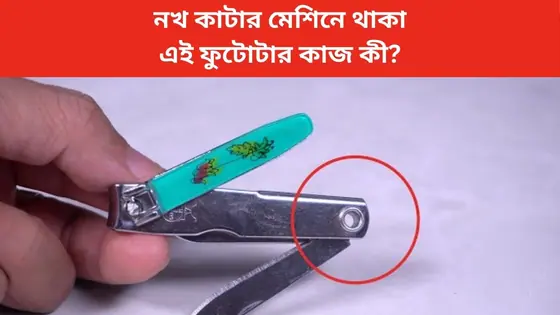Explained: নখ কাটার মেশিনে এই ফুটোটা কেন থাকে-কী কাজ? জানলে অবাক হবেন