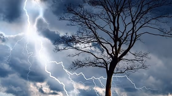 IMD Rain Alert : ఈ ఐదు జిల్లాలకు పొంచివున్న పిడుగుల గండం... తస్మాత్ జాగ్రత్త