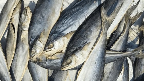 மீனை விட அதிக புரோட்டீன் உள்ள சைவ உணவுகள்... லிஸ்ட் இதோ!