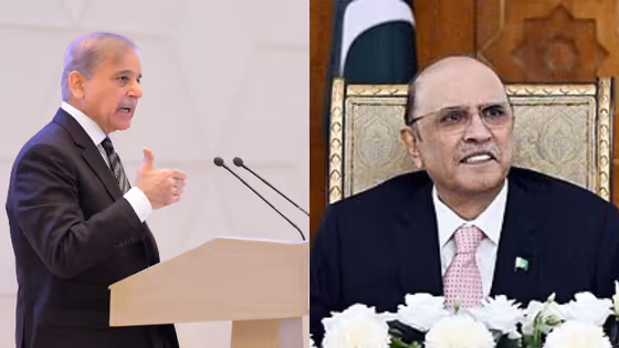 অপারেশন সিঁদুরের সময় প্রাণ বাঁচাতে বাঙ্কারে থাকতে চাইছিলেন, স্বীকার পাক প্রেসিডেন্টের