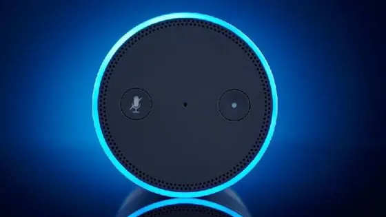 From Pop Songs to Political Trivia: What India Asked Alexa in 2025
