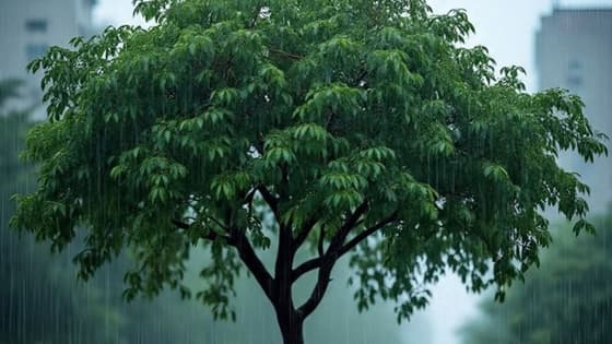 IMD Rain Alert : ఈ రెండ్రోజులు వర్ష బీభత్సమే... ఈ ప్రాంతాలకు పొంచివున్న ప్రమాదం