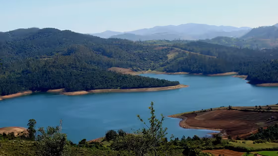 Ooty: উটি এখন ভারতের ‘চকোলেট শহর’! নীলগিরির কোলে লুকিয়ে মিষ্টি এক স্বর্গ