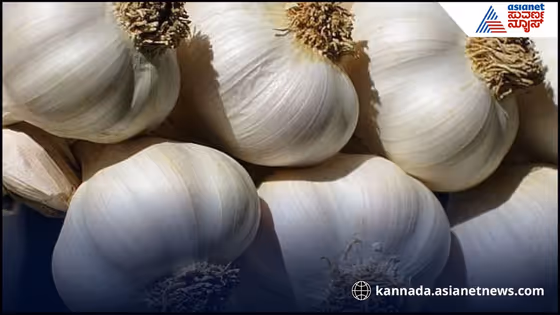 ಬ್ಲಡ್ ಥಿನ್ನರ್ ಮಾತ್ರೆ ಸೇವಿಸುತ್ತಿದ್ದೀರಾ? ಜೊತೆಗೆ, ಬೆಳ್ಳುಳ್ಳಿನೂ ತಿಂತೀರಾ..? ಹಾಗಿದ್ರೆ ಜೋಕೆ, ಈ ಸ್ಟೋರಿ ನಿಮಗಾಗಿ!