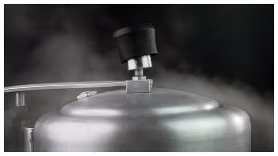 ಕುಕ್ಕರ್ ಶಿಳ್ಳೆ ಹೊಡೆಯಲ್ವಾ, ಮಸಿ ಬಟ್ಟೆ ಕ್ಲೀನ್ ಆಗ್ತಿಲ್ವಾ?.. ಇಲ್ಲಿವೆ ಟಾಪ್ 5 Kitchen and Home tips