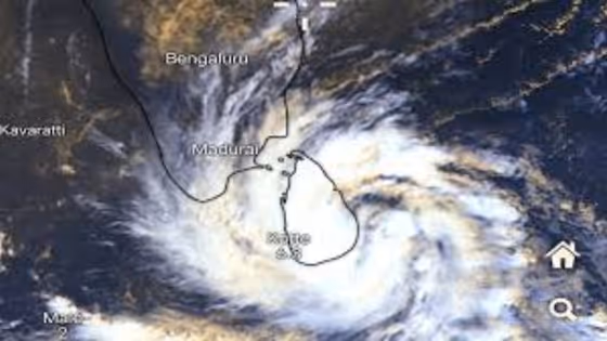 Cyclone Ditwah: Warnings, Alerts and Rescue Teams in Place as Storm Nears Landfall