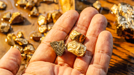 Gold Rate Today: ഒരു പവൻ വാങ്ങാൻ ഇന്ന് എത്ര നൽകണം? കേരളത്തിലെ ഇന്നത്തെ സ്വർണവില അറിയാം