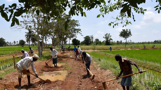 PM Kisan: பிஎம் கிசான் பணம் உயருமா? ரூ.2000 வரணும்னா இந்த 3 வேலையை உடனே முடிங்க!