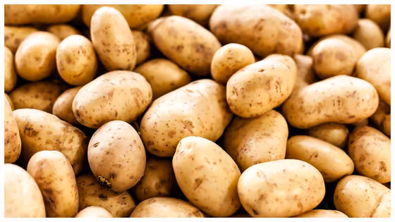 Potato Subsidy: உருளைக்கிழங்கு விவசாயிகளுக்கு ஜாக்பாட்: சேமிப்பு முதல் விற்பனை வரை மானியம்! யாருக்கு தெரியுமா?