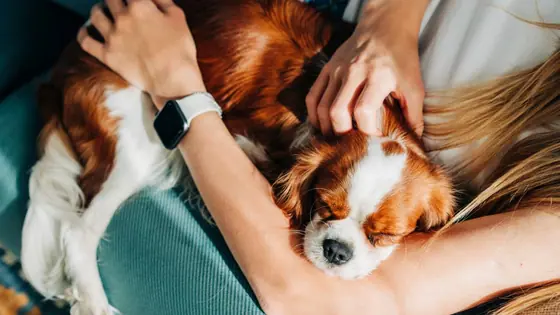 Dog in School: పెంపుడు కుక్కను కిండర్ గార్డెన్ స్కూల్ చేర్పించిన మహిళ, ఫీజు ఎంతో తెలుసా?