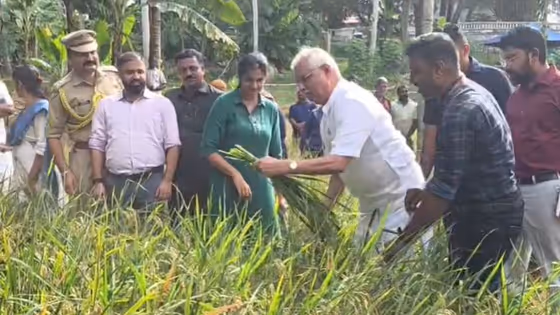 ലോക്ഭവനിലെ നെൽക്കൃഷിയുടെ വിളവെടുപ്പിന് നേരിട്ടെത്തി, കൃഷിയിടത്തിലെ വിളകൾ നേരിട്ട് പരിശോധിച്ച് ഗവർണർ
