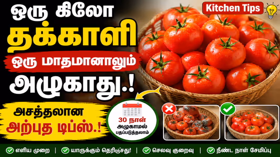 Tomato: ஒரு கிலோ தக்காளி ஒரு மாதமானாலும் அழுகாது.! நீண்ட நாள் கெடாமல் சேமிக்க சூப்பர் Kitchen Tips.!