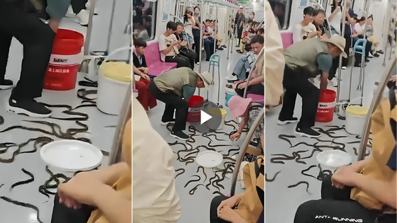 No Panic, Just Eels: Viral China Metro Video Shows Calm Passengers in a Wild Rescue (WATCH)