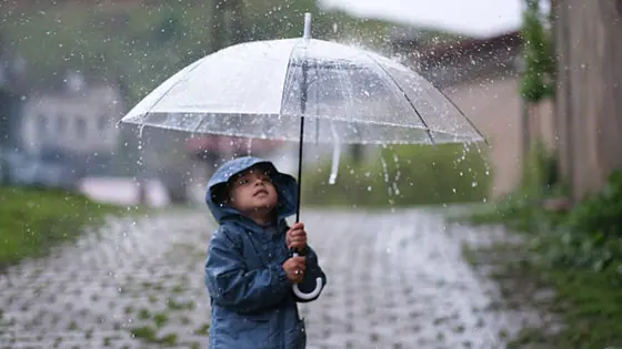 Tamil Nadu Rain Alert : தமிழகத்தில் நாளை முதல் 8 மாவட்டங்களில் கனமழைக்கு வாய்ப்பு!