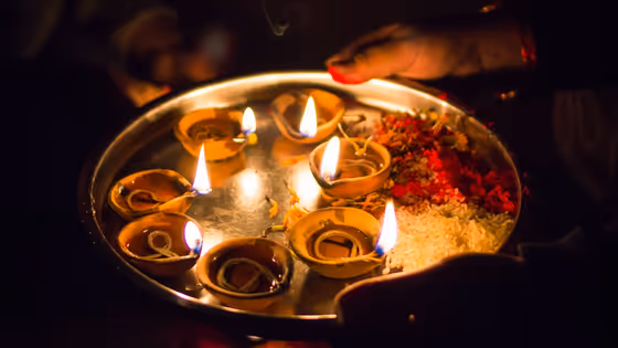 সামনেই বাসন্তী পূজা, মা আসছেন পালকিতে এবং ফিরে যাবেন গজে, কেমন কাটবে জানুন বিস্তারিত