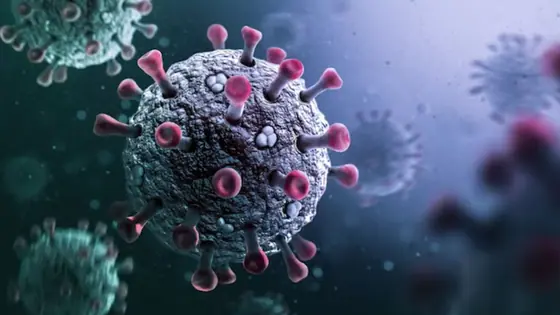 Karnataka Covid-19 Cases: ಕರ್ನಾಟಕದಲ್ಲಿ Covid-19 ಮತ್ತೆ ಏರಿಕೆ; 5 ಹೊಸ ಕೇಸ್ ದಾಖಲು, ಬೆಂಗಳೂರಿನಲ್ಲಿ ಒಂದು ಸಾವು!