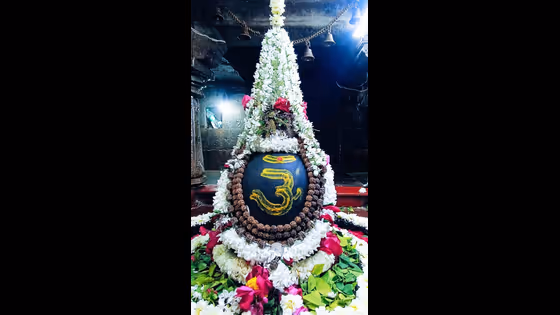 Nil Sasthi 2026: সন্তানের মঙ্গল কামনায় নীলষষ্ঠী, মহাদেবকে পুজো দেওয়ার সঠিক সময় কখন?