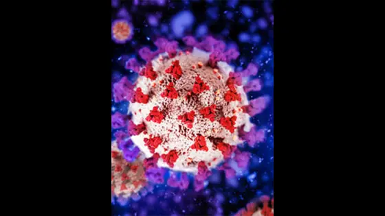 భారత్లోకి ఎంటరైన కరోనా కొత్త వేరియంట్.. మహారాష్ట్రలో వెలుగులోకి , లక్షణాలివే