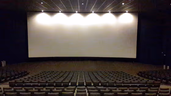 ಪಕ್ಕದ ಚಿತ್ರರಂಗದಲ್ಲಿ ಕಣ್ಣು​ ತೆರೆದ ಕನ್ನಡ ಸ್ಟಾರ್ಸ್! ಯಾರು? ಯಾರು? 