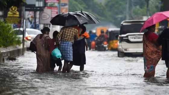 நீலகிரியில் வெளுத்து வாங்கிய கனமழை! அவலாஞ்சியில் 292 மி.மீ பதிவு! 2 நாள் ஆரஞ்சு அலர்ட்!