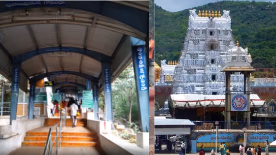 ತಿರುಮಲದಲ್ಲಿ ಆನೆಗಳ ಹಾವಳಿ: ಭಕ್ತರ ಭದ್ರತೆಗೆ ಹೊಸ ಸವಾಲು