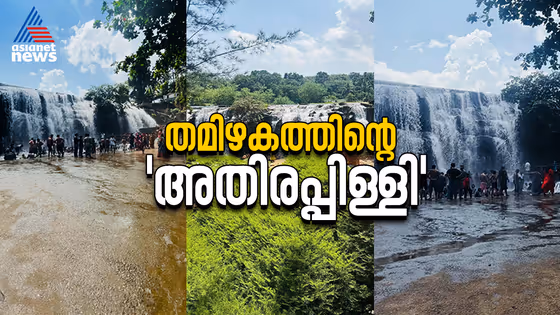 തമിഴകത്തിന്റെ 'അതിരപ്പിള്ളി'; മനം നിറയ്ക്കും തൃപ്പരപ്പ് വെള്ളച്ചാട്ടം